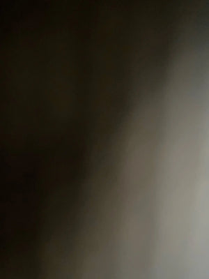 A9107525177d04230ac4421038b989376Y.jpg